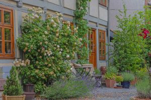 Optimaal watergebruik in je tuin: de voordelen van een vochtmeter voor planten