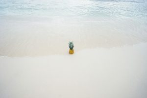 De veelzijdigheid van de ananas boom ontdekken